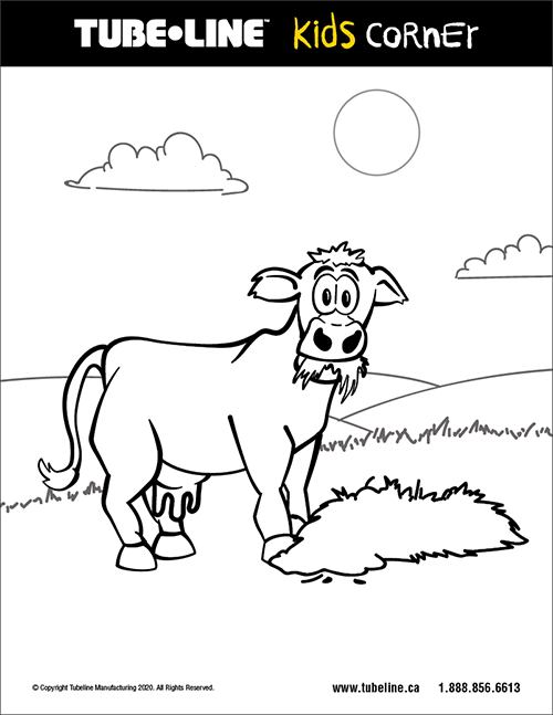 Cow Colouring Page